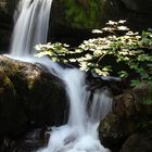 Wasserspielplatz Gaisalp-tobel