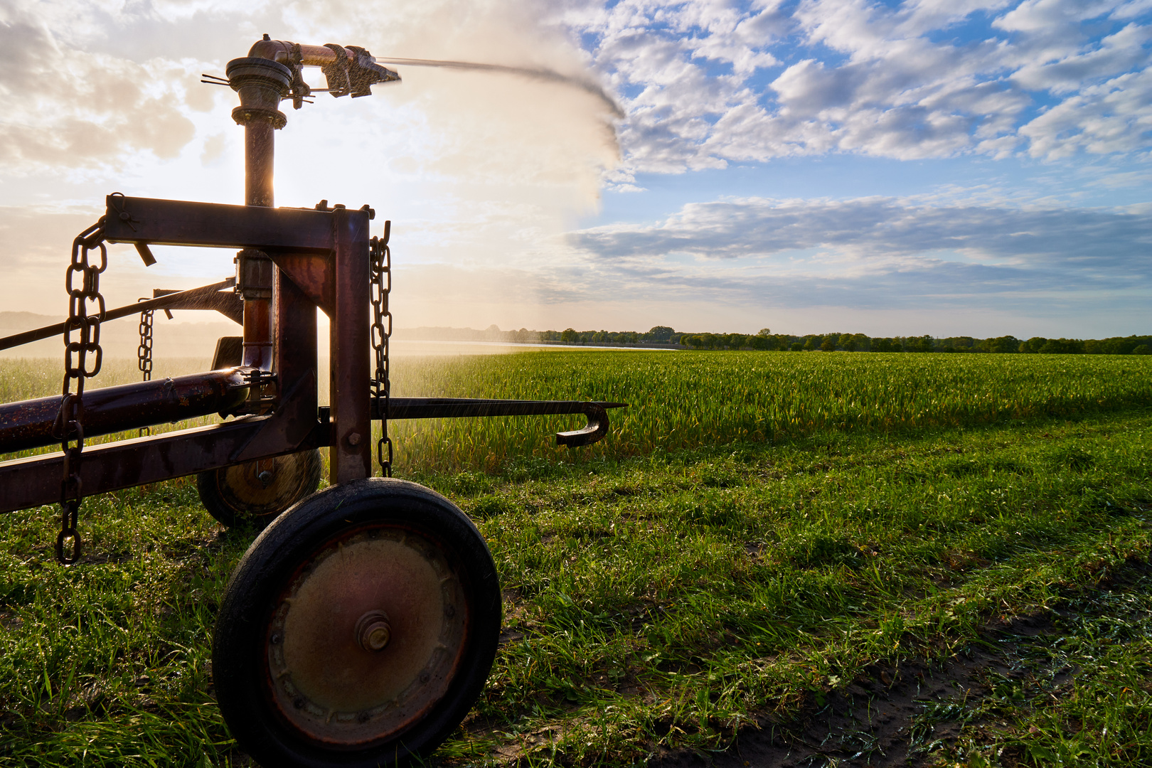 Wassersprenger auf Feld