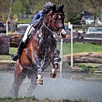 Wassersprung