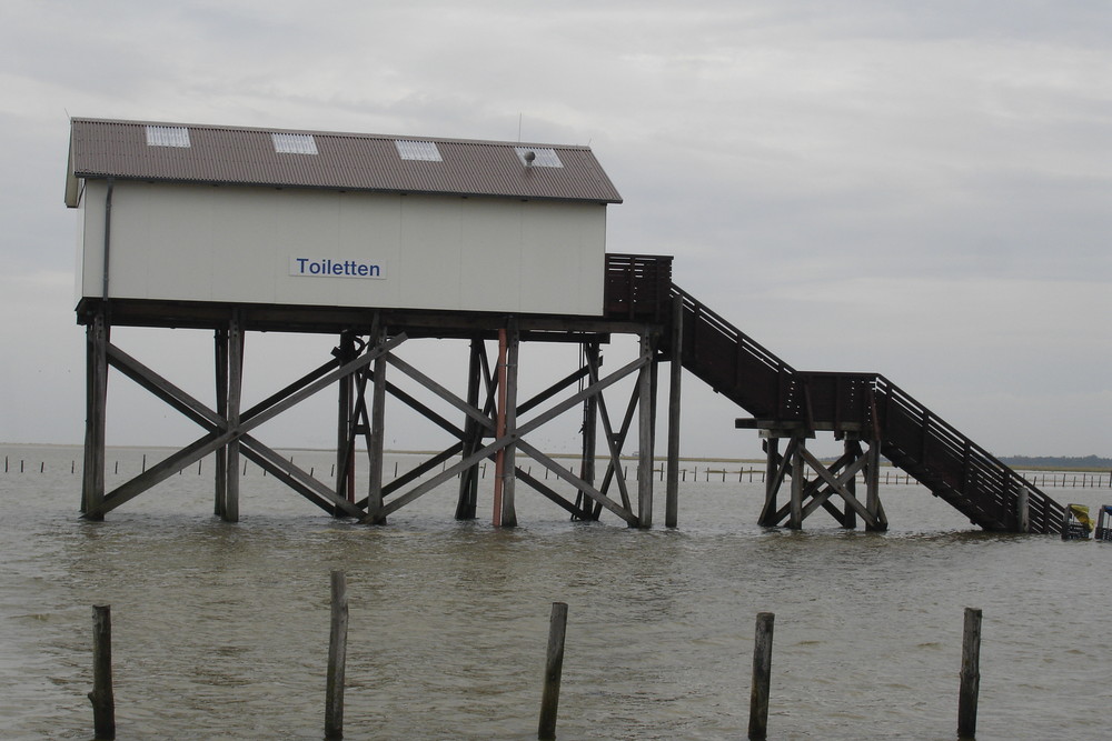 Wasserspülung