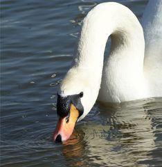 Wasserspuren