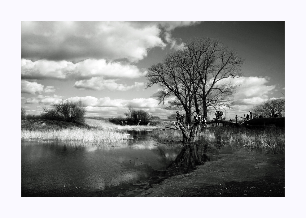 Wasserstand