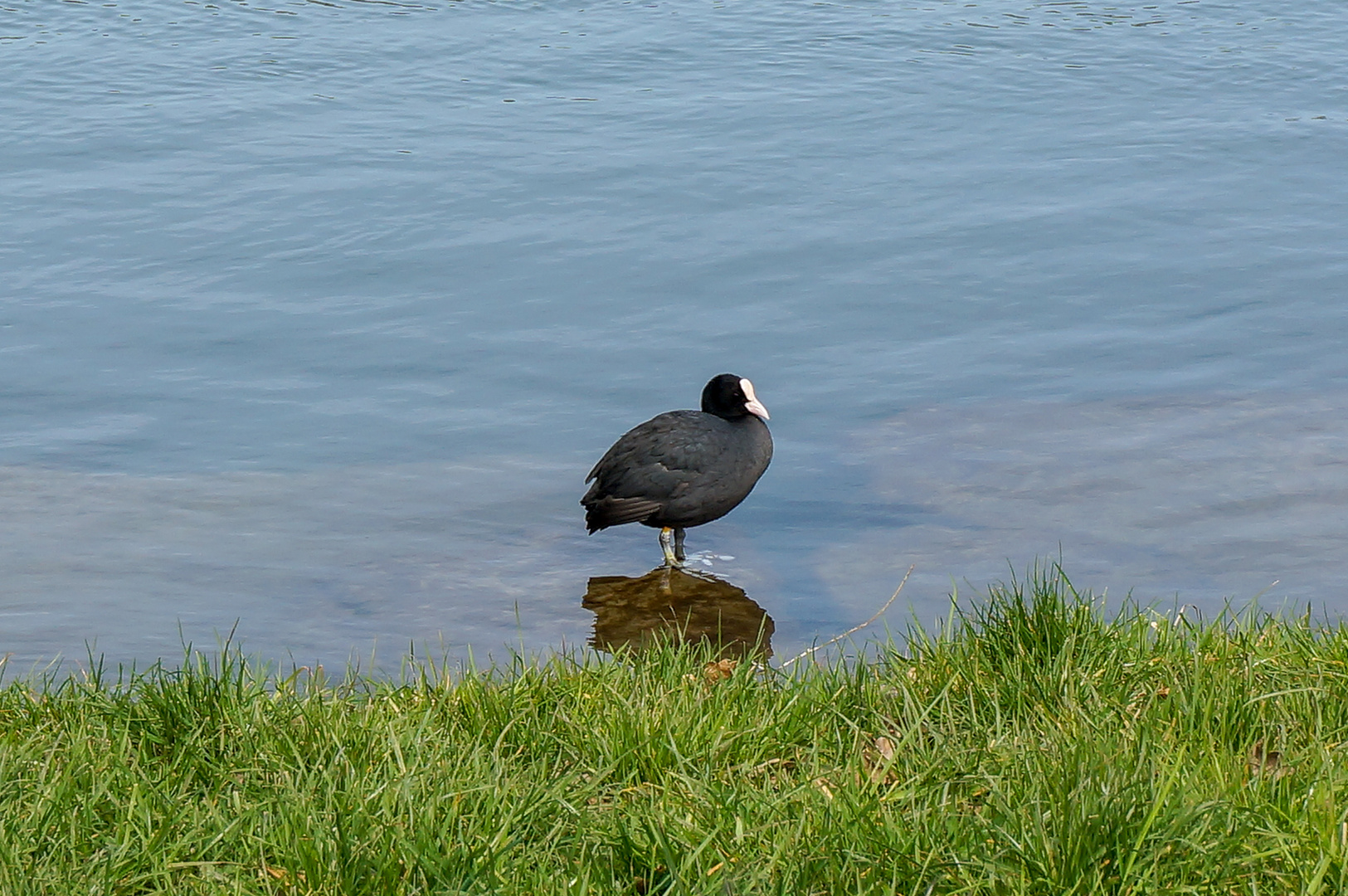 Wasserstand