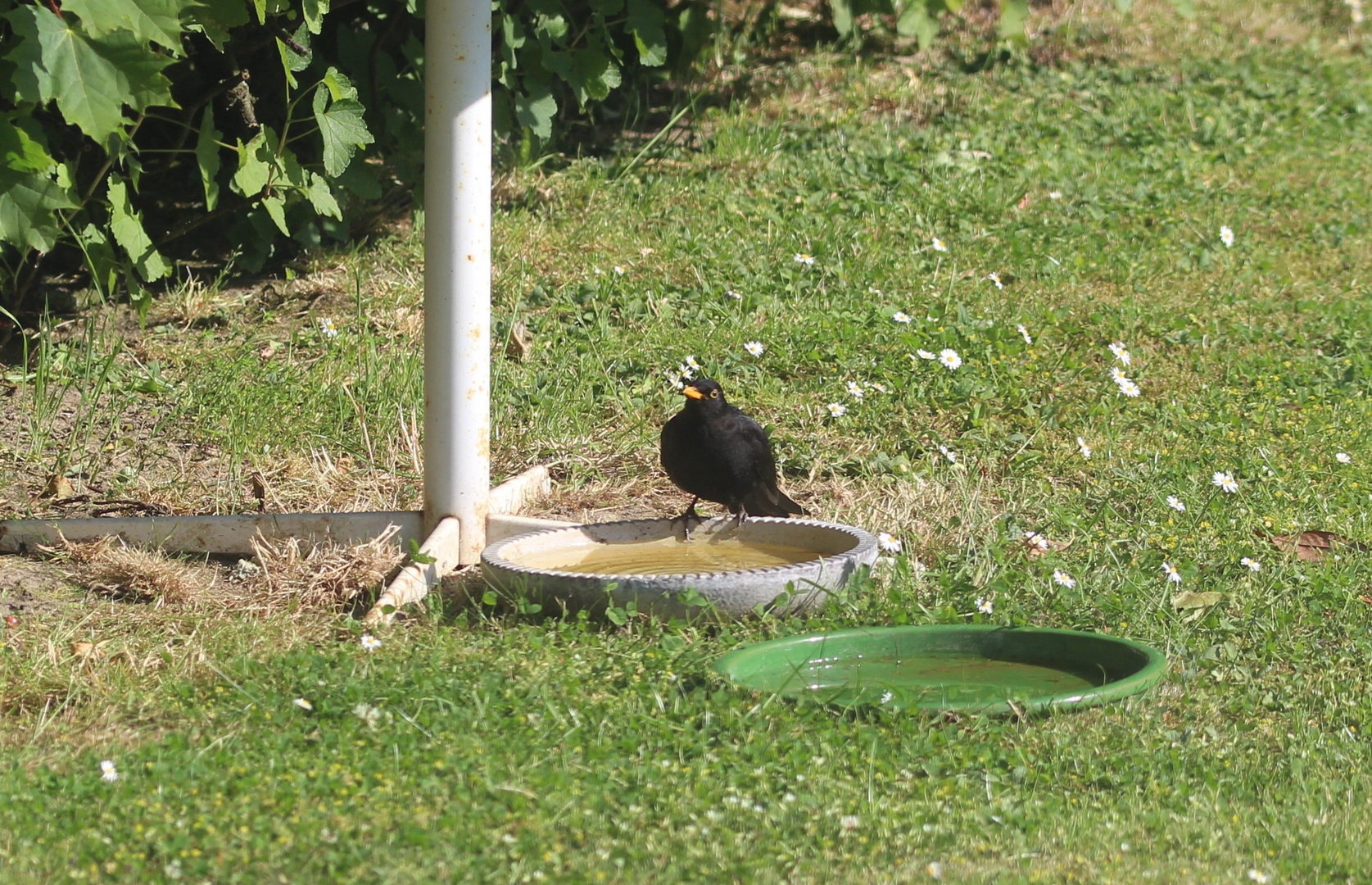 Wasserstandskontrolle