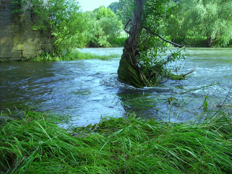 Wasserstandsmessung