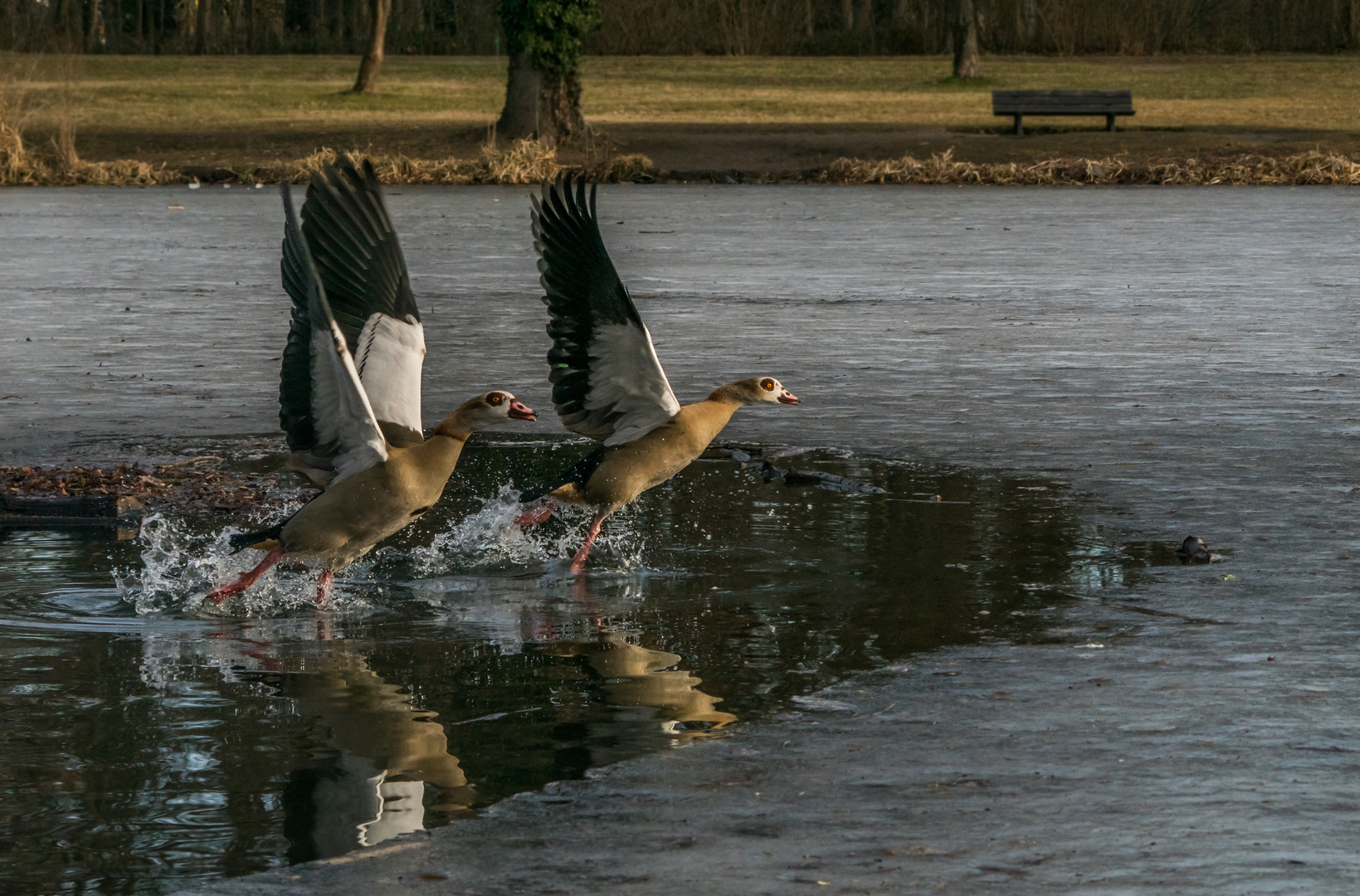 Wasserstart