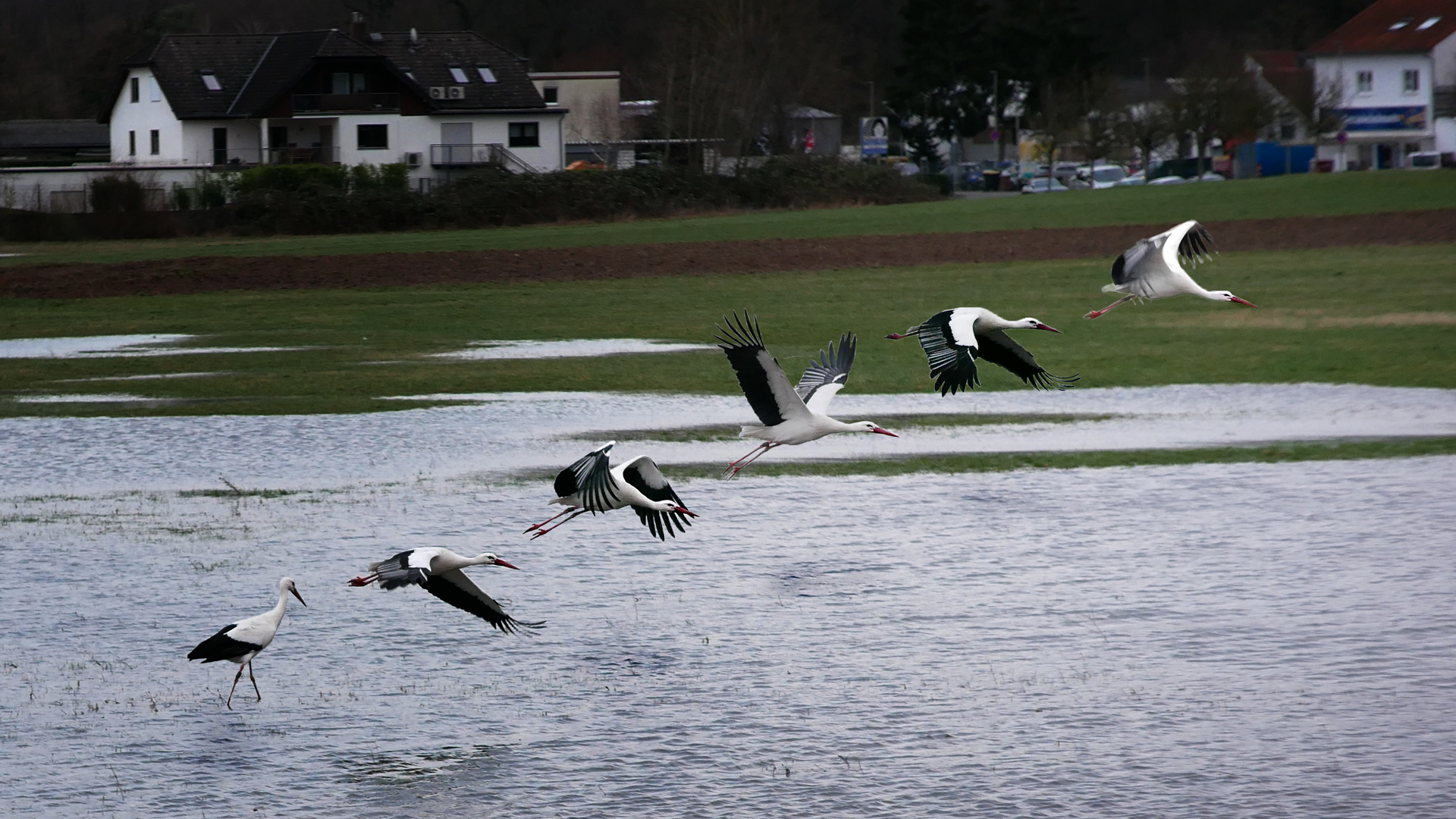 Wasserstart