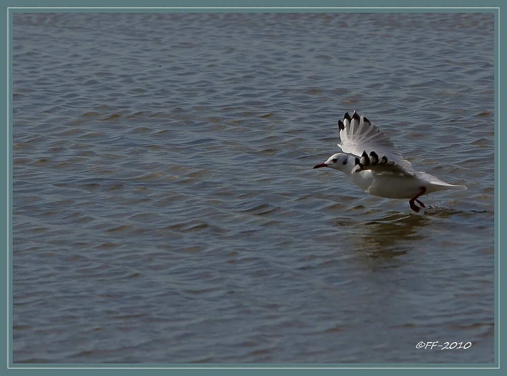 ... Wasserstart ...