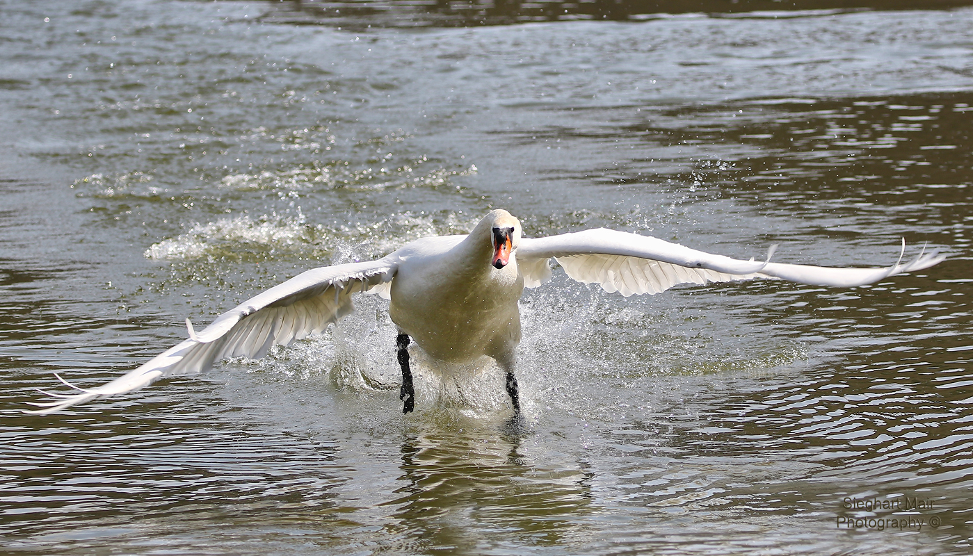 Wasserstart