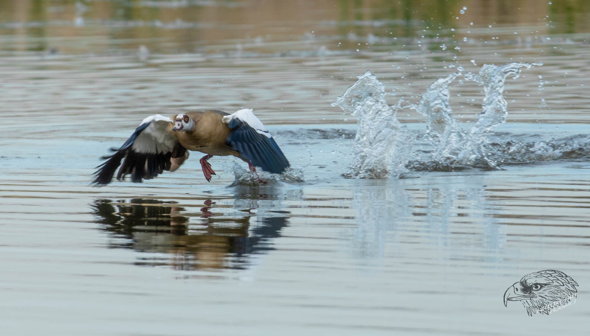 Wasserstart