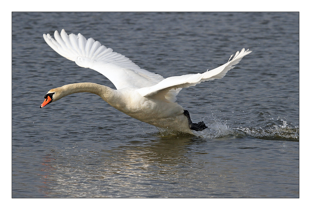 Wasserstart