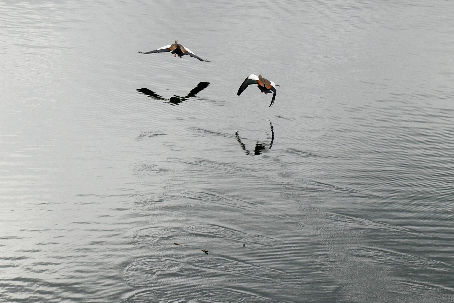 Wasserstart