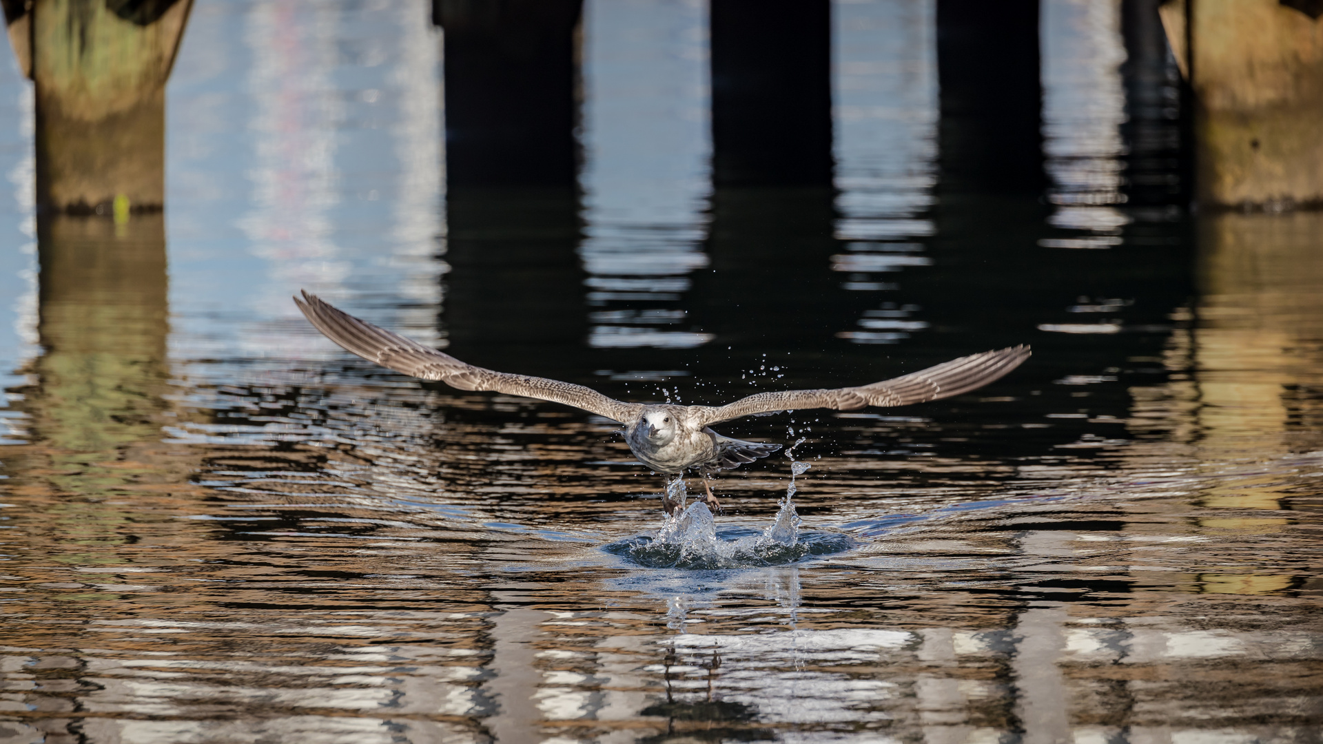 Wasserstart