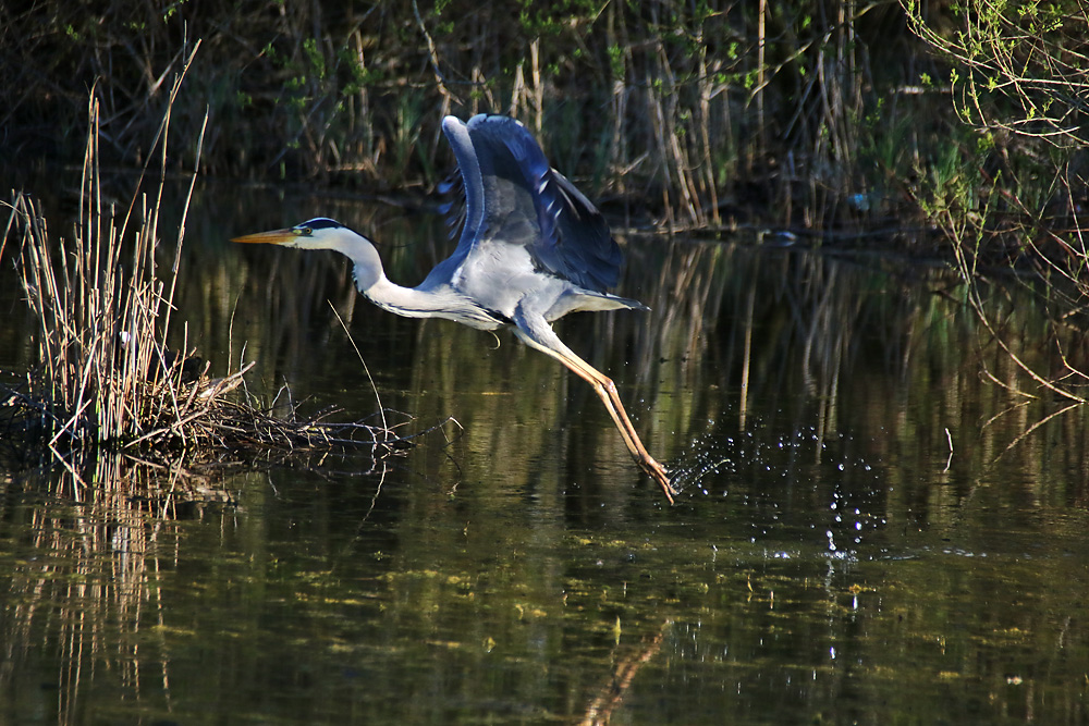 Wasserstart geglückt