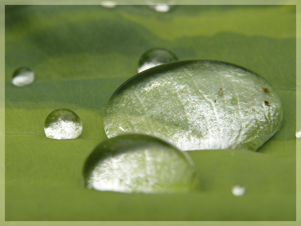 Wassersteine Foto & Bild makros Bilder auf