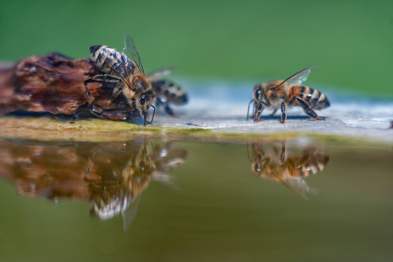 Wasserstelle