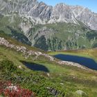 Wasserstelle am Golmer Höhenweg