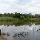 Wasserstelle auf einer Farm in RSA