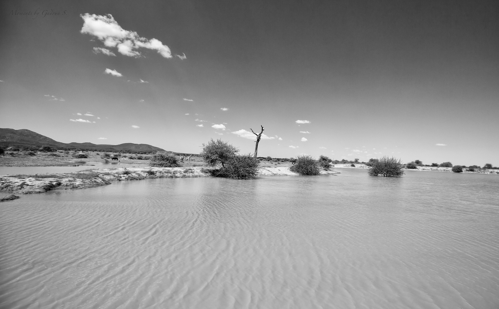 Wasserstelle - Old Traders Lodge, Erindi Private Game Reserve