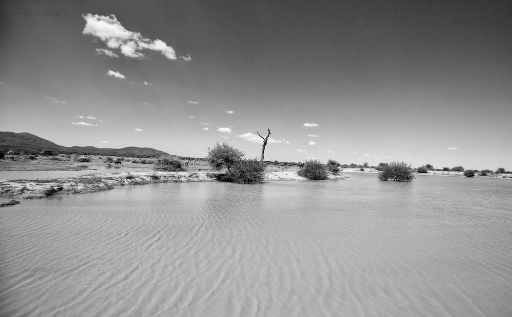 Wasserstelle - Old Traders Lodge, Erindi Private Game Reserve