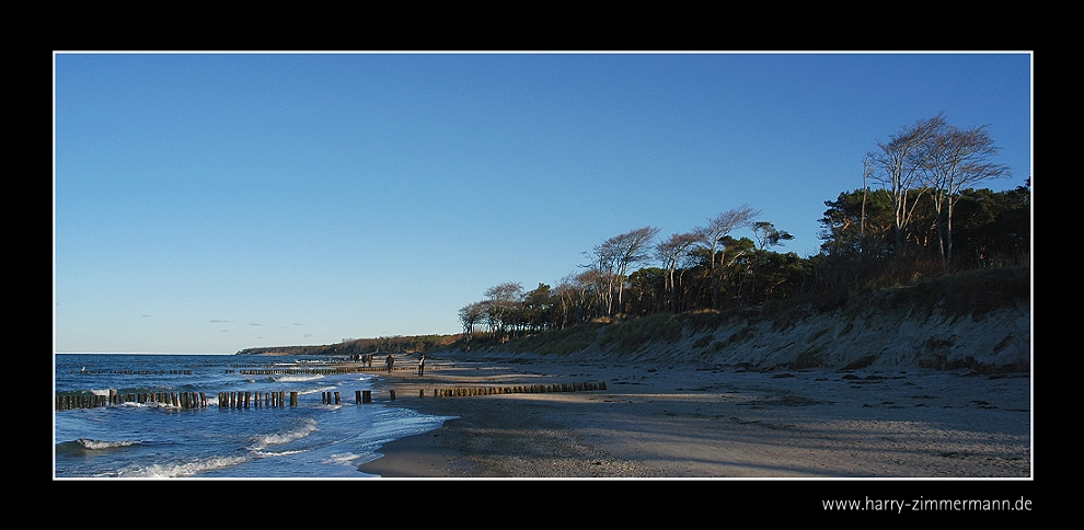 Wasser,Strand und Wald