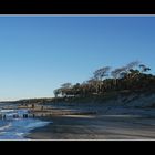 Wasser,Strand und Wald