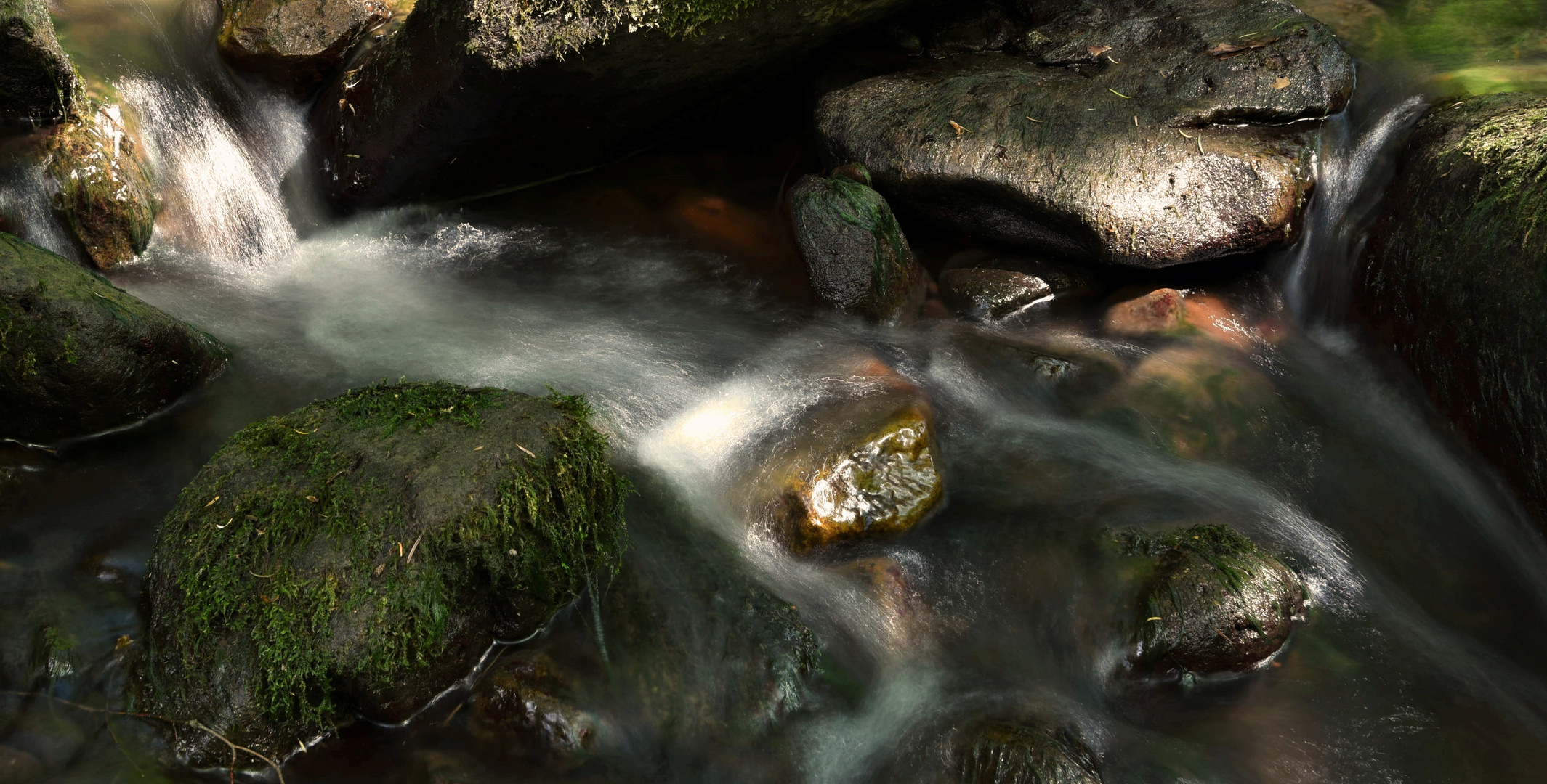 Wasserstudien im Monbachtal