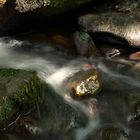 Wasserstudien im Monbachtal