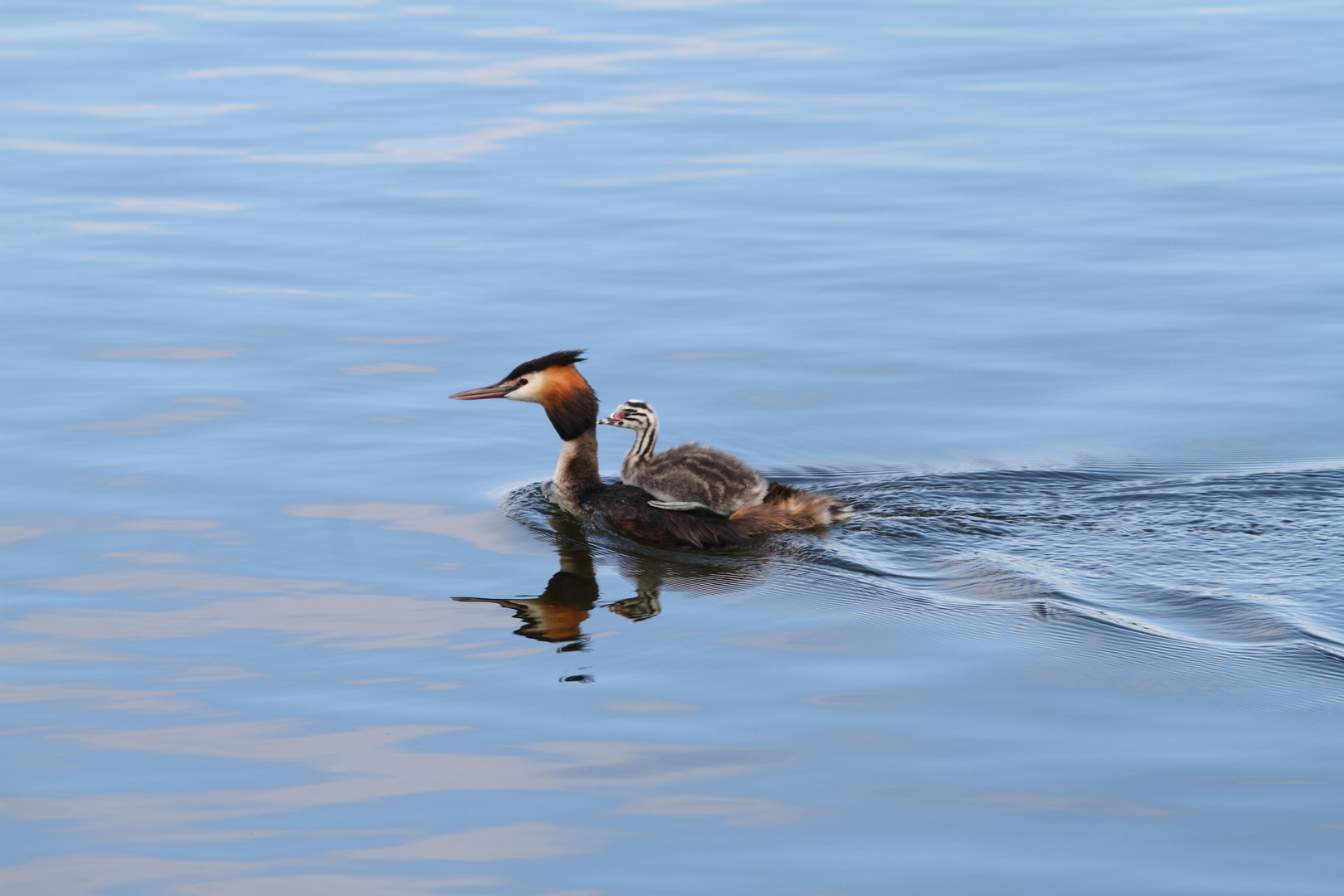 Wassertaxi