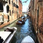 Wassertaxi-Stau in Venedig