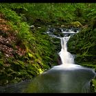 "Wasserterrassen"