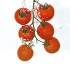 Wassertomaten