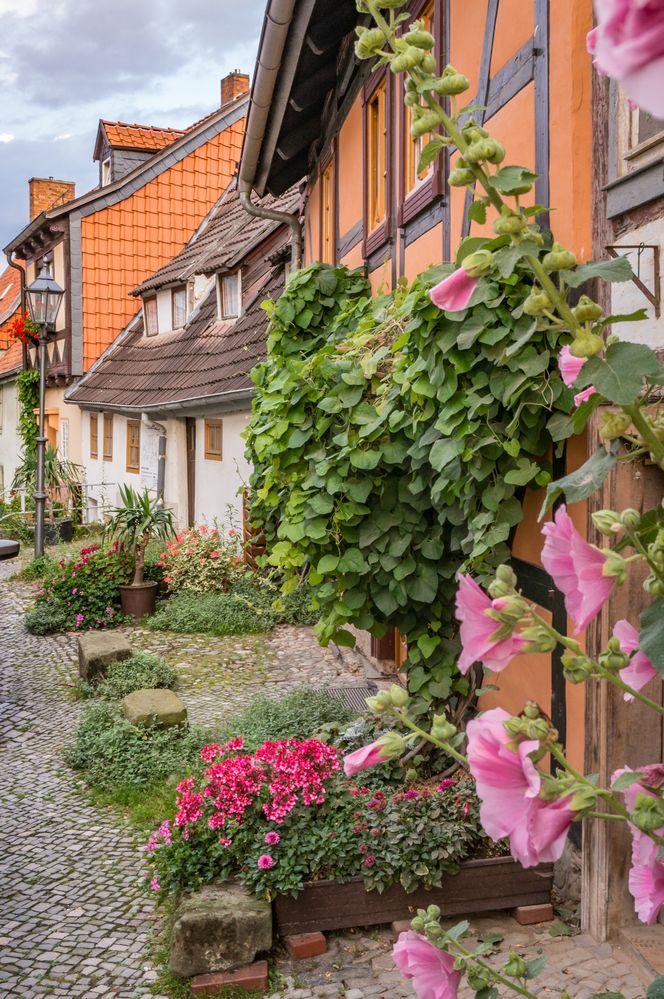 Wassertorstraße - Quedlinburg/Harz