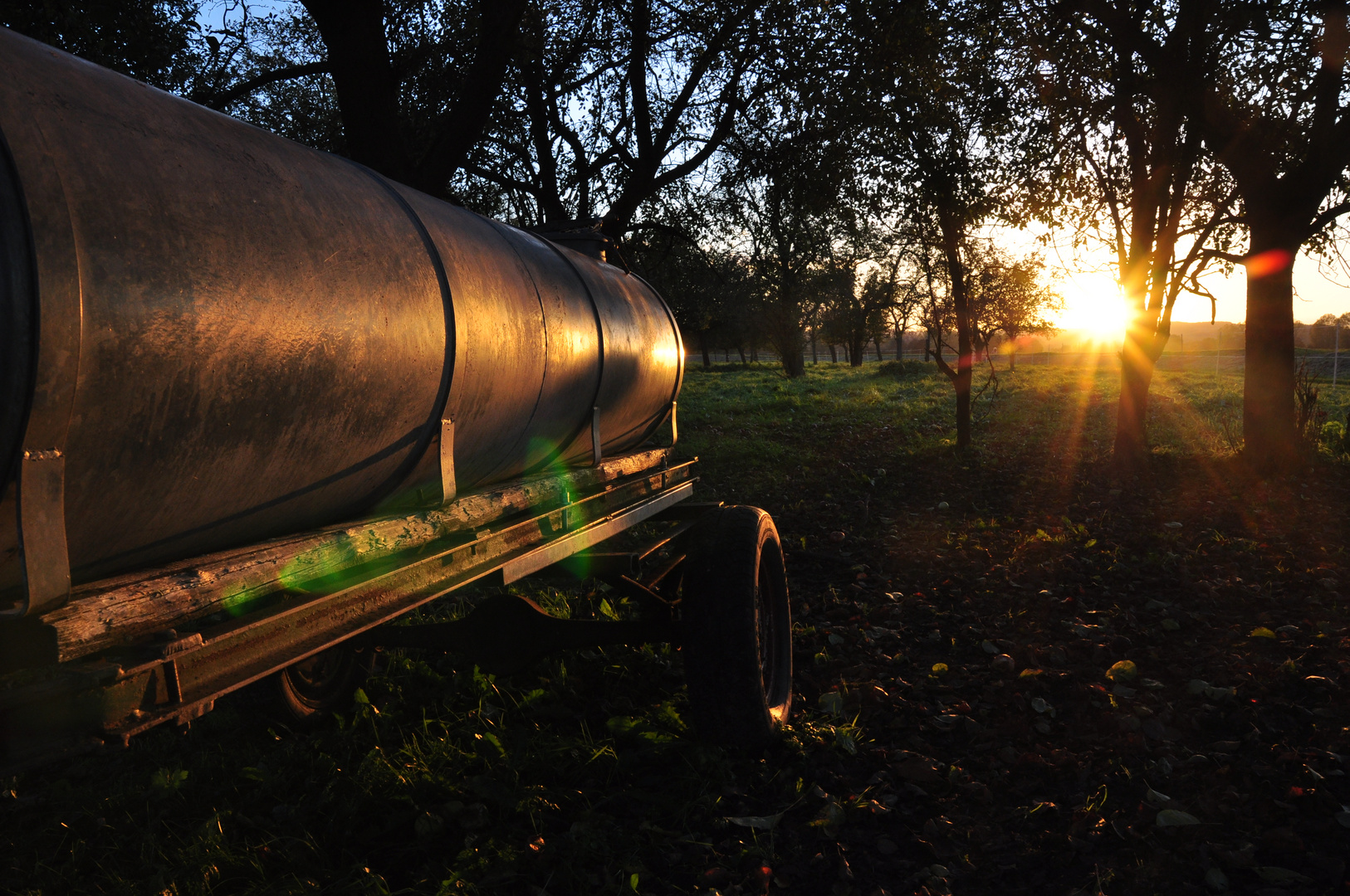 Wassertränke beim Sonnenuntergang