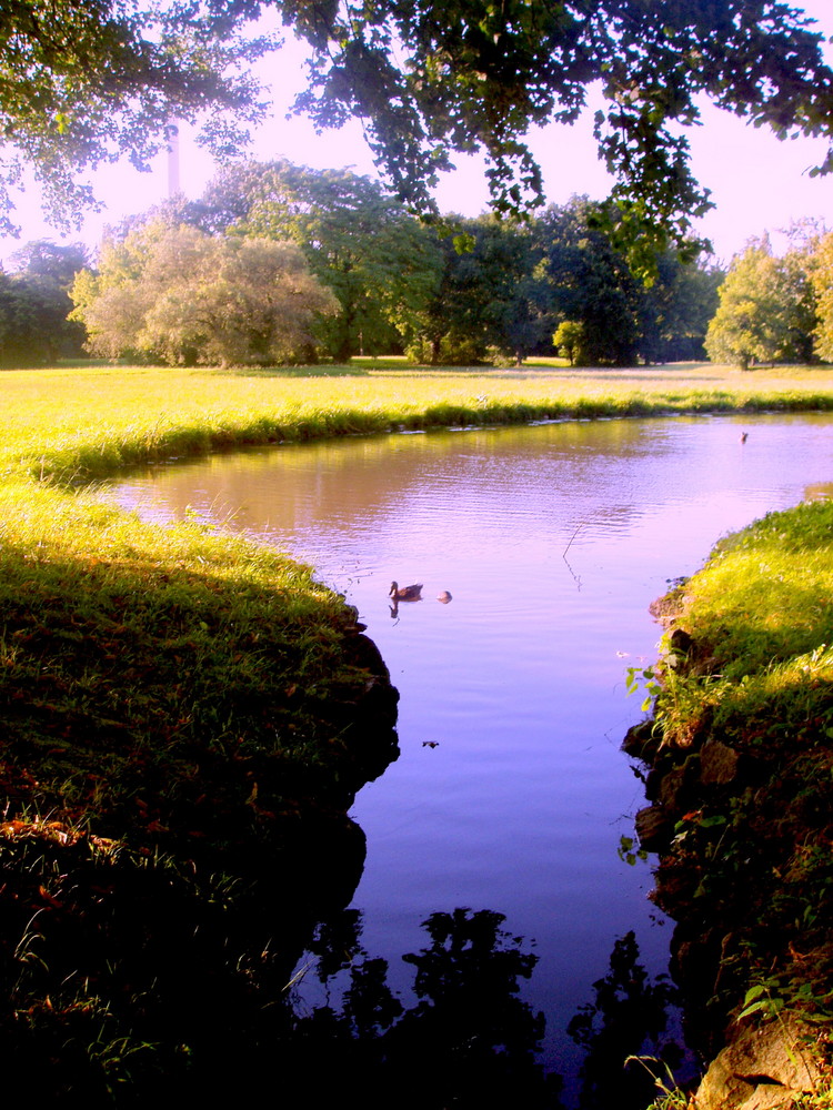 WasserTräume