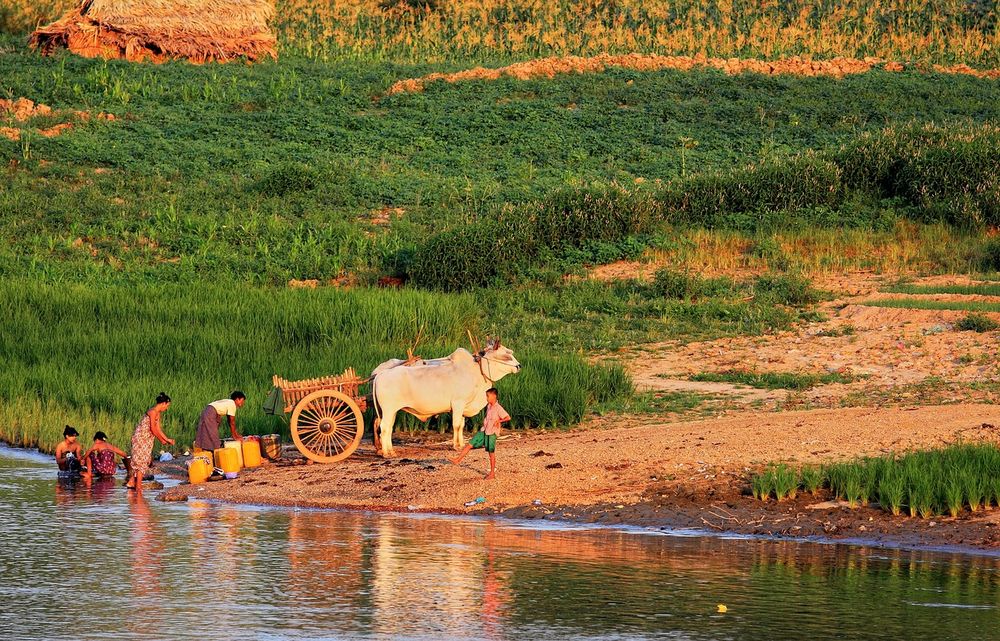 Wassertransporter