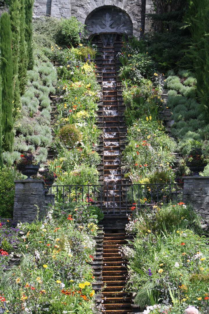 Wassertreppe auf der Mainau...