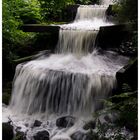 Wassertreppe in Planten un Blomen