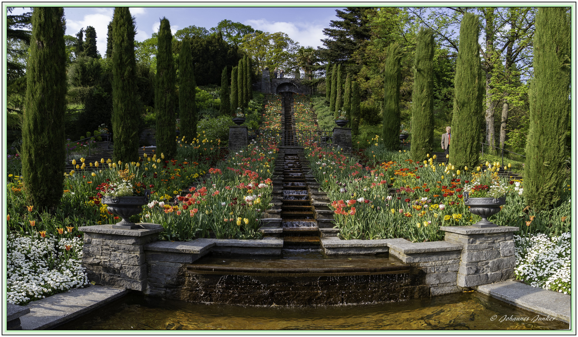 Wassertreppe mit Tulpen