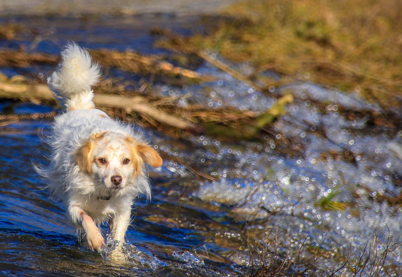 Wassertreten :-)