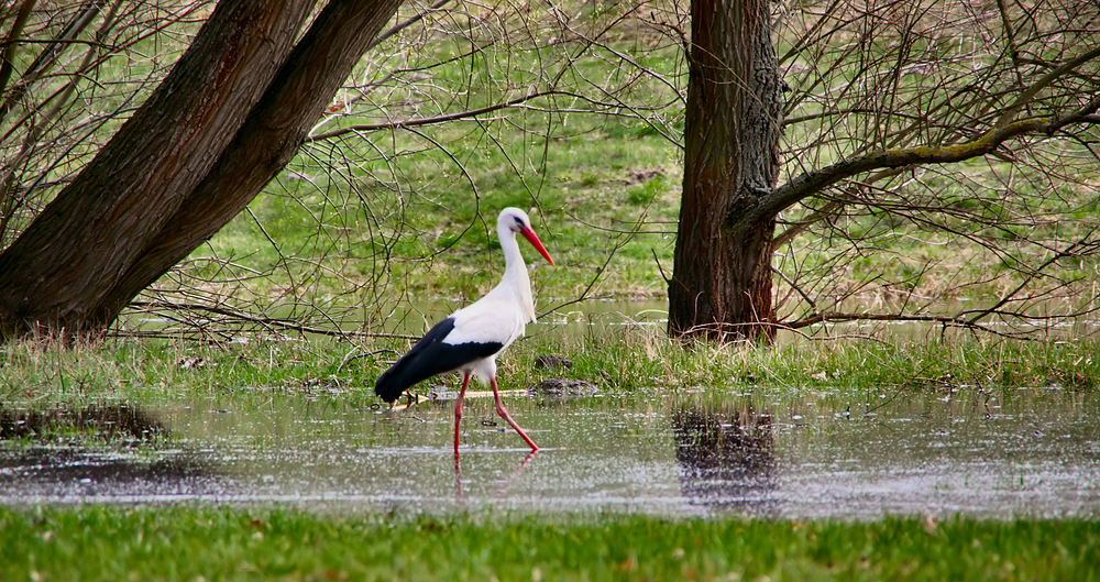 Wassertreten ...