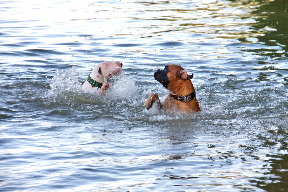 Wassertreten...