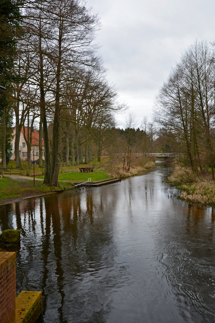 Wassertreten an der Örtze