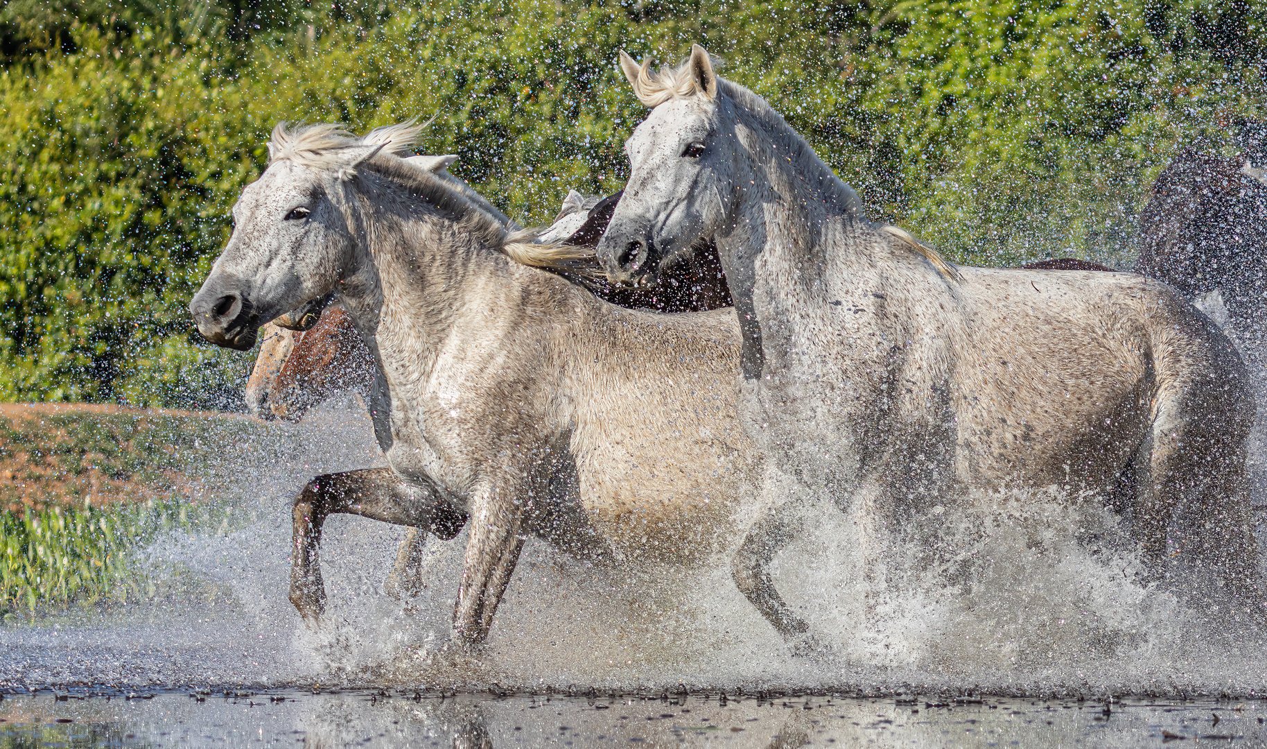 Wassertreten nach Kneipp