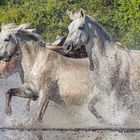 Wassertreten nach Kneipp