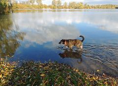 "Wassertreten soll ja so gesund sein "!