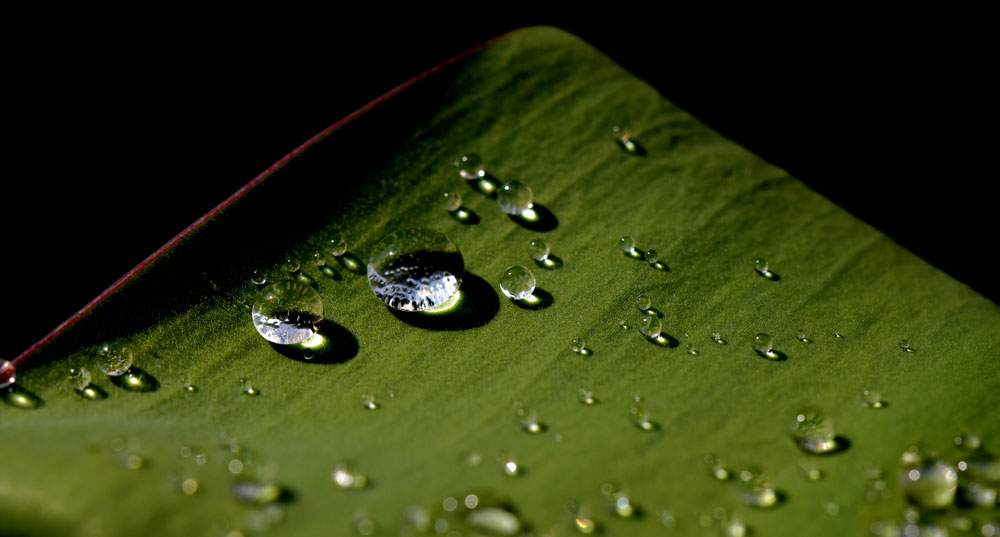 Wassertröpfchen