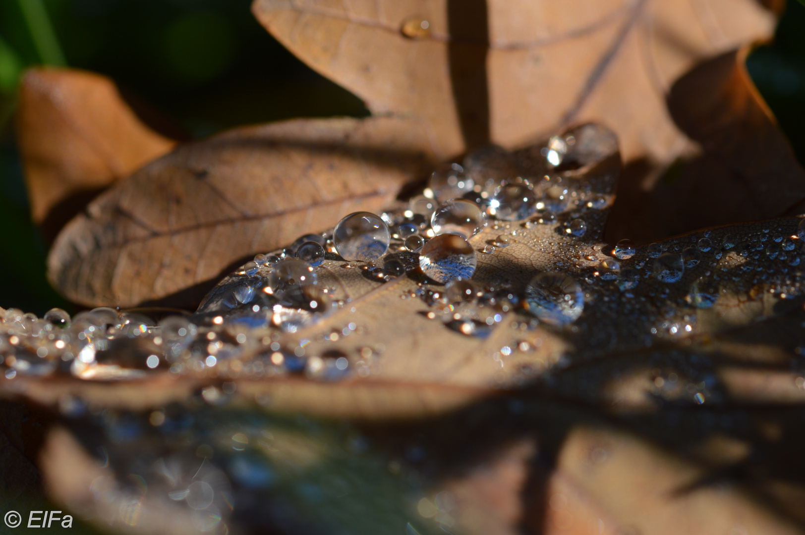 Wassertröpfchen