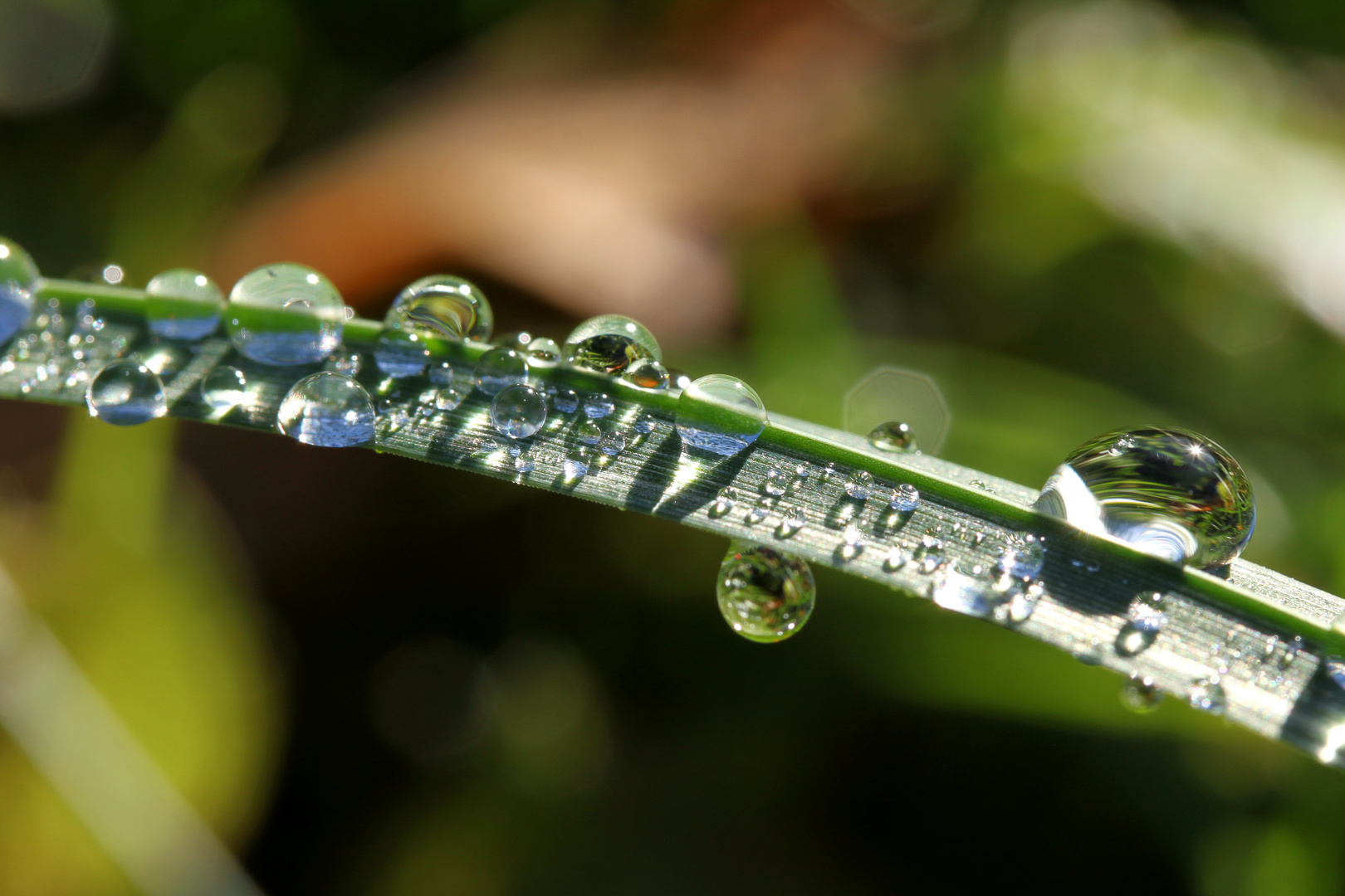 Wassertröpfchen Nr. 2