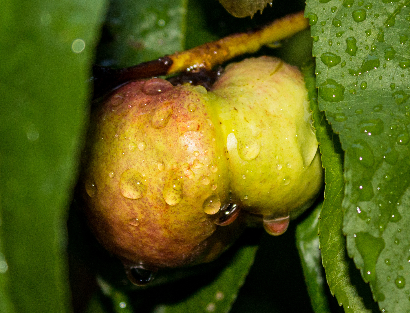 Wassertropfen...